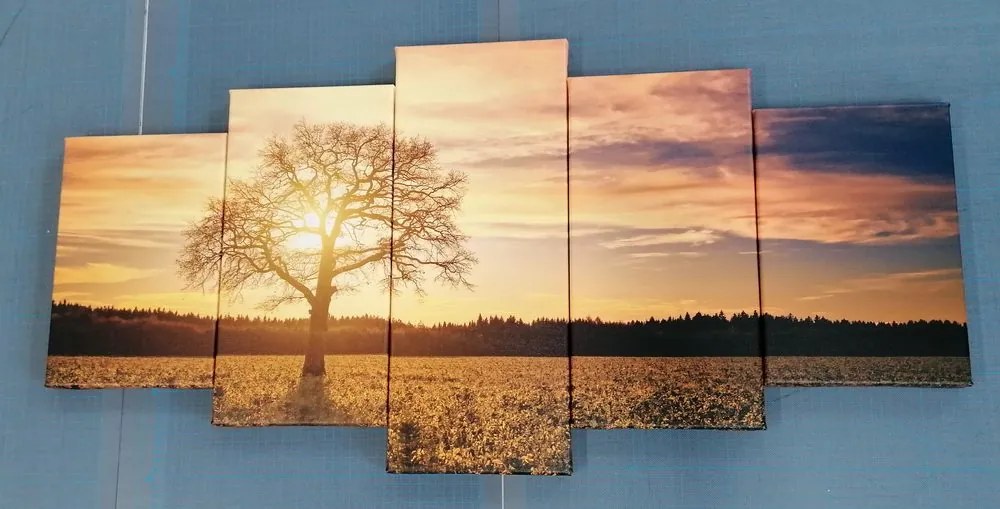 Quadri 5 pezzi – Albero solitario
