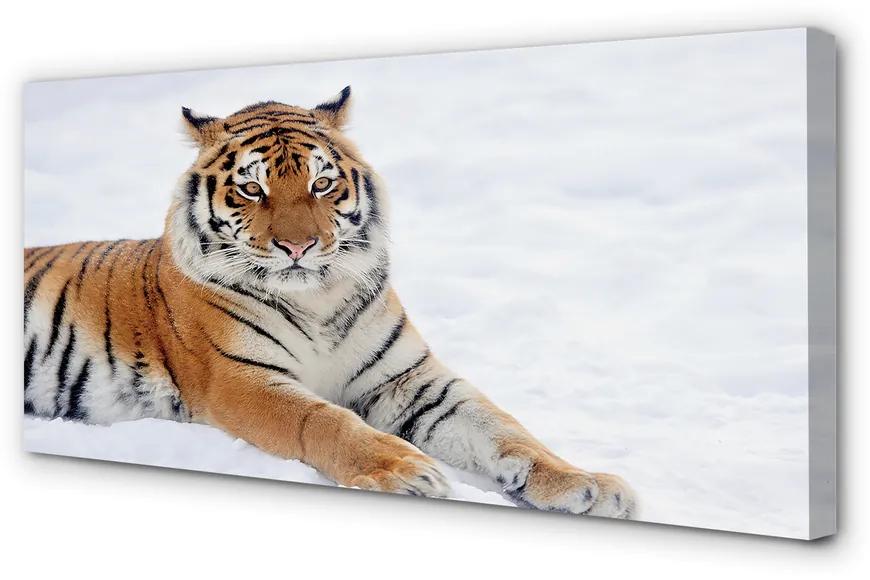 Quadro su tela Snow invernale di tigre 100x50 cm