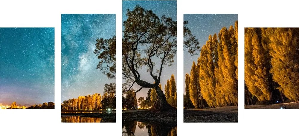 Quadri 5 pezzi – Albero sotto il cielo stellato