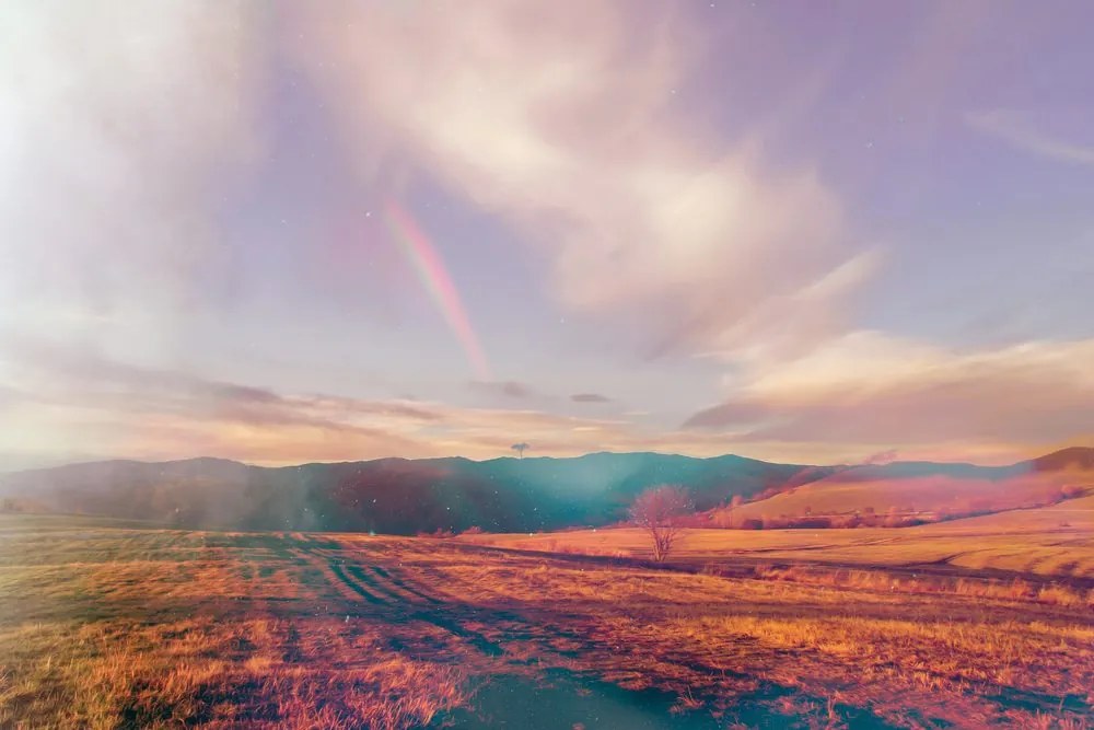 Carta da parati – Campo in atmosfera autunnale