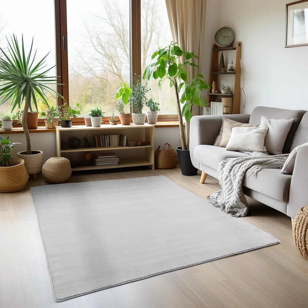 Tappeto lavabile grigio chiaro 160x230 cm Sky - Ayyildiz Carpets