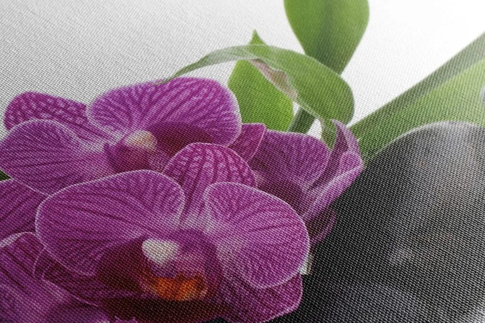 Stampa su tela – Orchidea viola in natura morta Zen