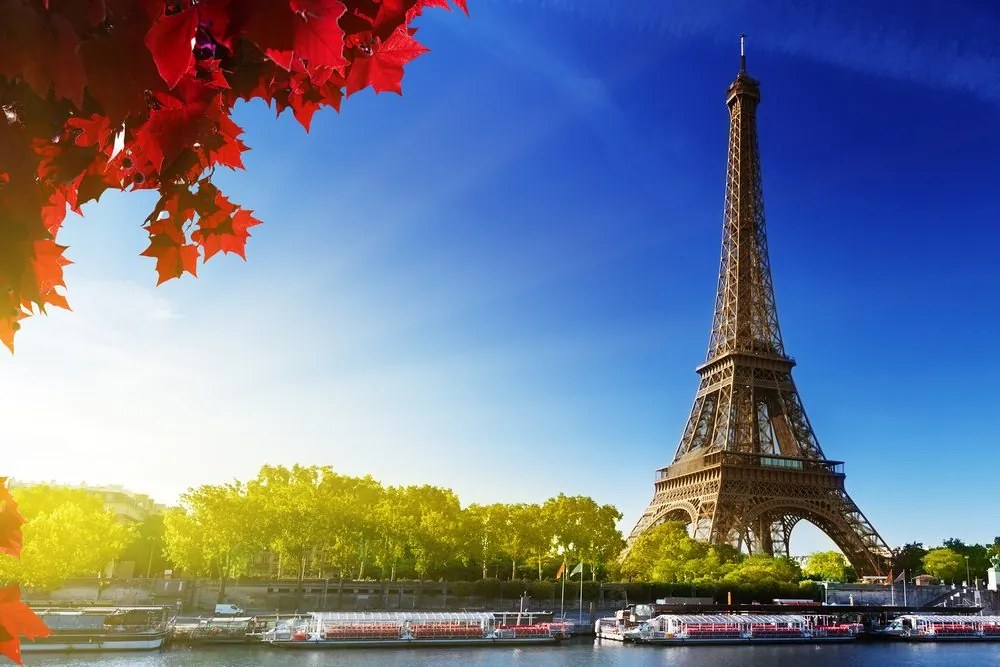 Stampa su tela – Parigi in autunno