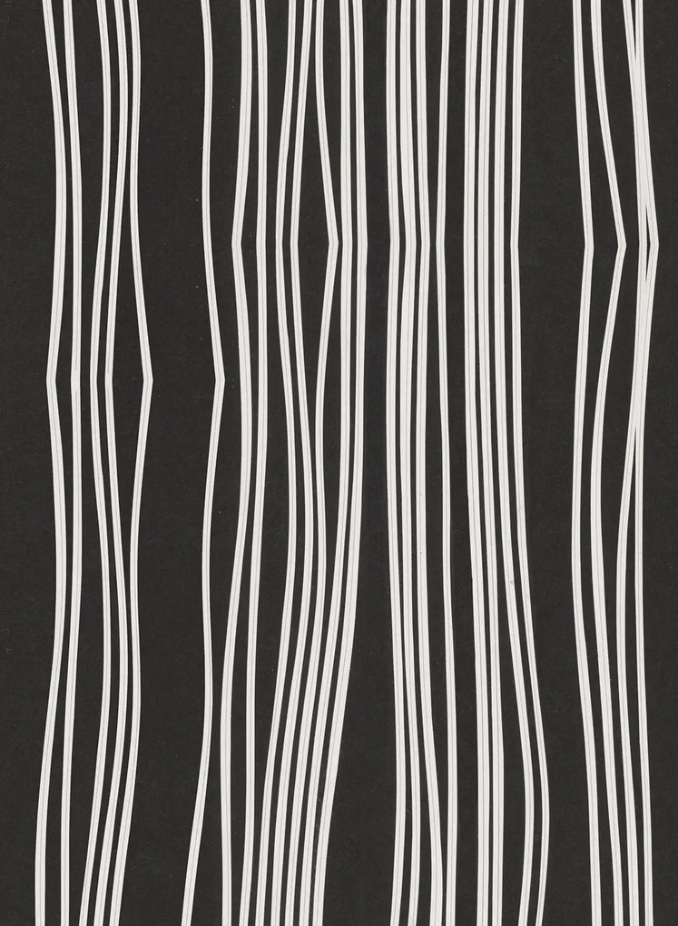 Coordonne Carta da parati Tectonic Faults - Onyx