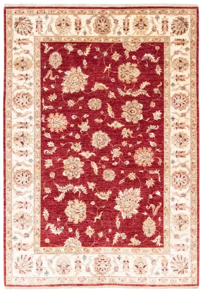 Ziegler Tappeto 170x240 (Afghanistan)