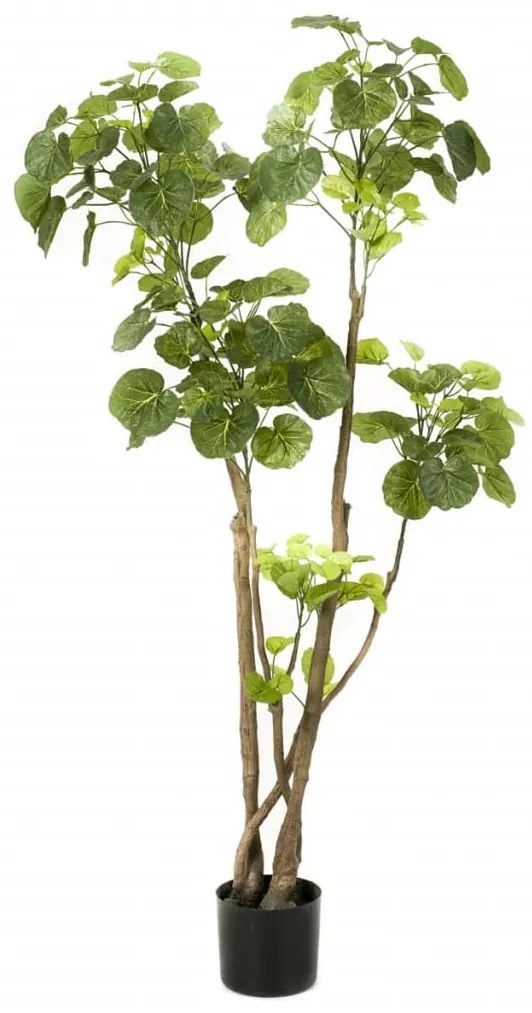 Albero Di Polyscias Artificiale Verde 135 Cm 420292 /