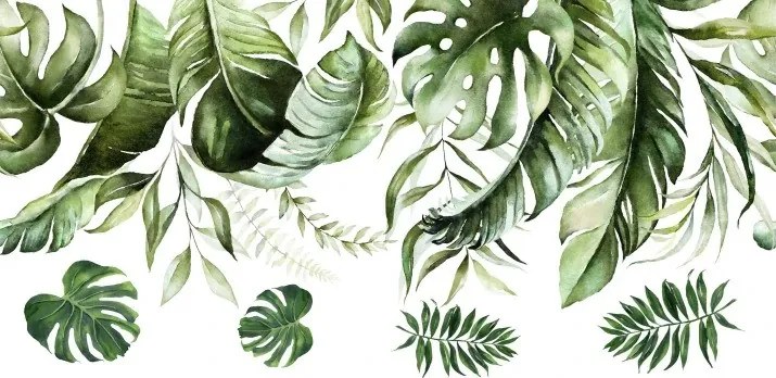 Adesivo murale per interni con il motivo delle foglie della pianta monstera 150 x 300 cm