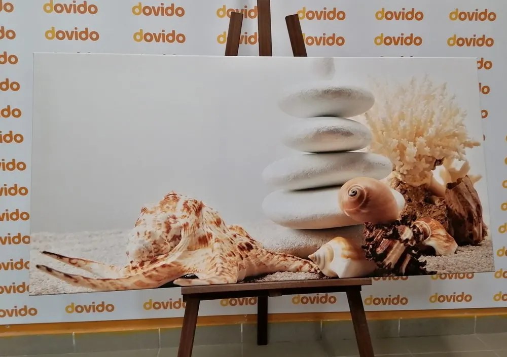 Quadro su tela – Pietre Zen con conchiglie