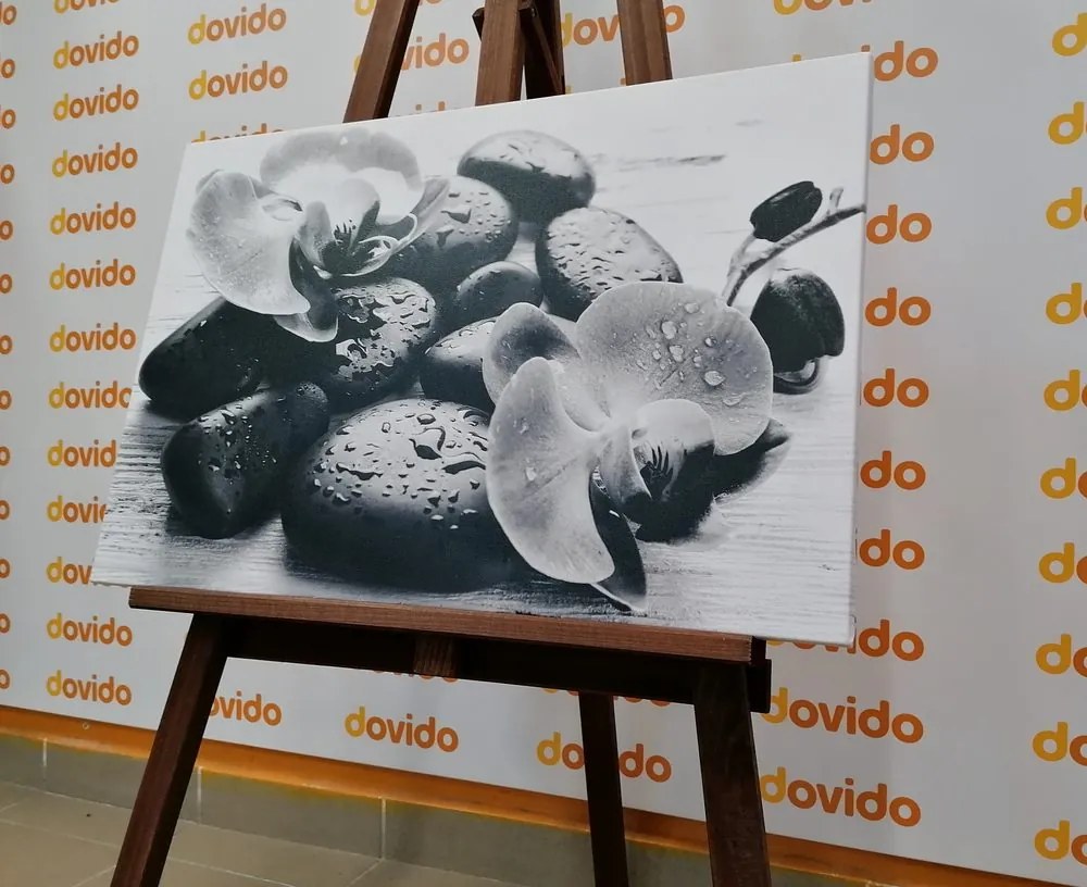 Quadro su tela – Bella armonia di pietre e orchidee in bianco e nero