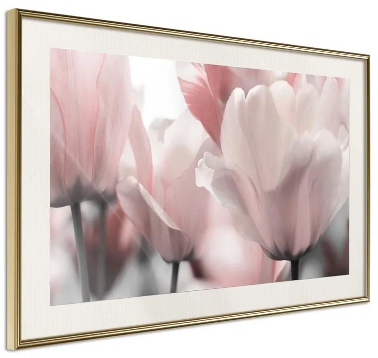 Poster  Pastel Tulips II  Cornice Quadri Cornice d'oro con passe-partout, Larghezza x Altezza Home decor 60x40