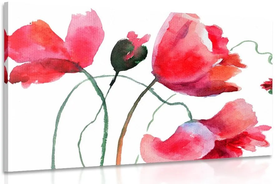 Stampa su tela – Fiori di papavero unici