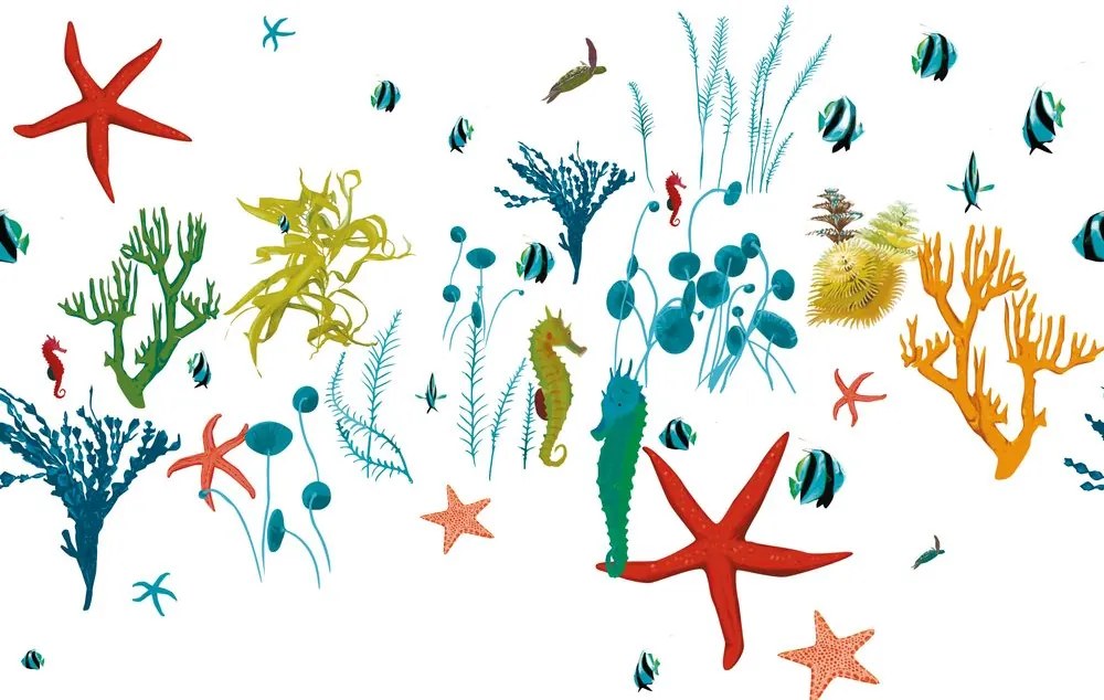 Carta da parati – Bellezze sotto la superficie del mare