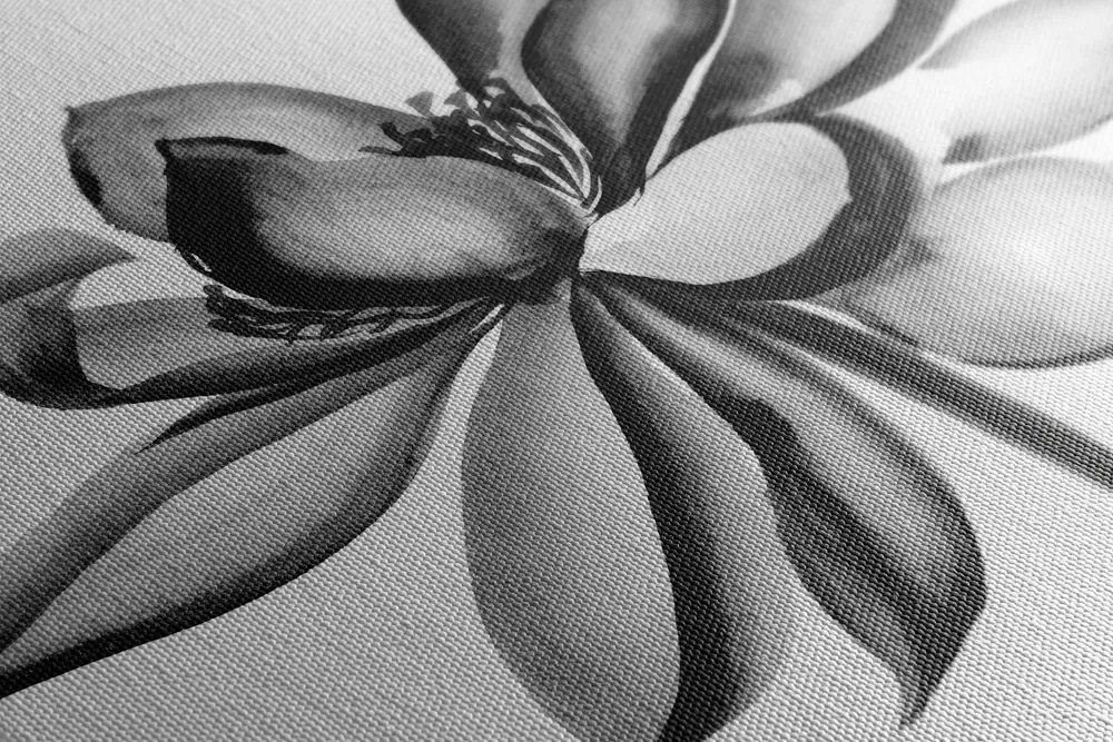 Quadro su tela – Fiore di loto acquerellato in bianco e nero