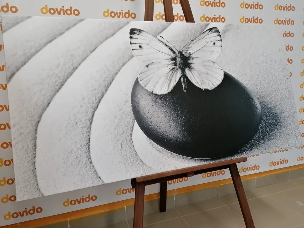 Quadro su tela – Pietra Zen con farfalla in bianco e nero