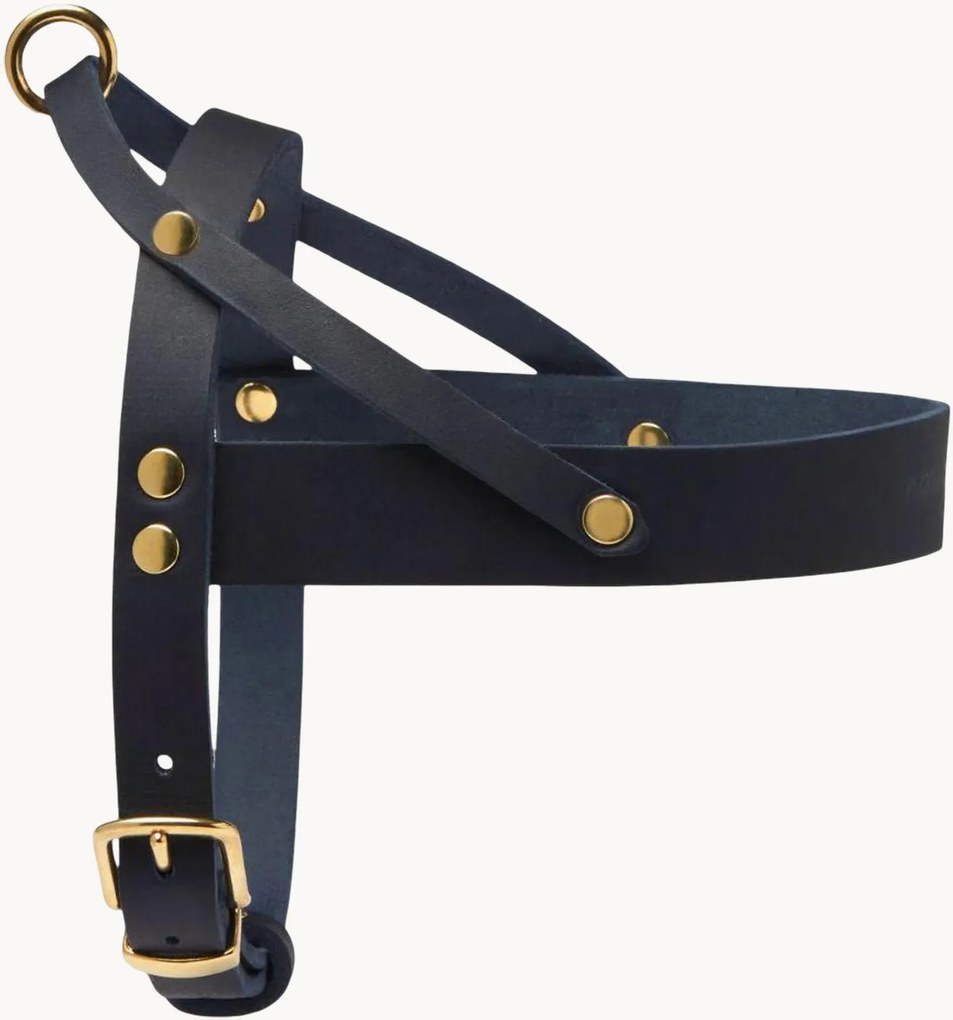 Imbracatura per cani in pelle Classic, varie misure