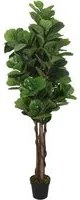 Albero Ficus Lyrata 134 Foglie 120 cm Verde 359012