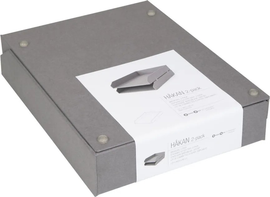 Organizer in cartone per documenti in set da 2 Hakan - Bigso Box of Sweden