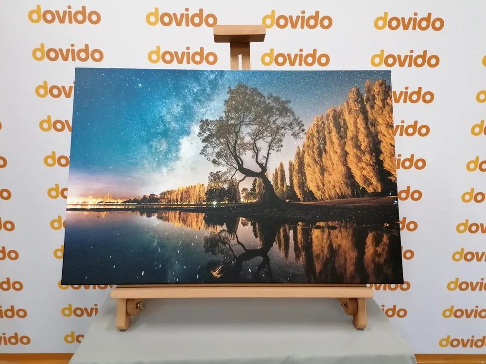 Quadro su tela – Albero sotto il cielo stellato