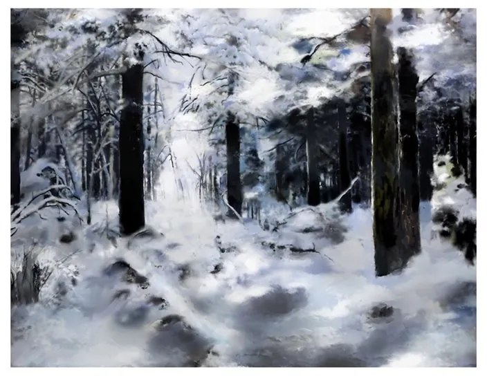 Fotomurale  Foresta invernale  Colore bianco e nero, Dimensioni e Misure 200x154