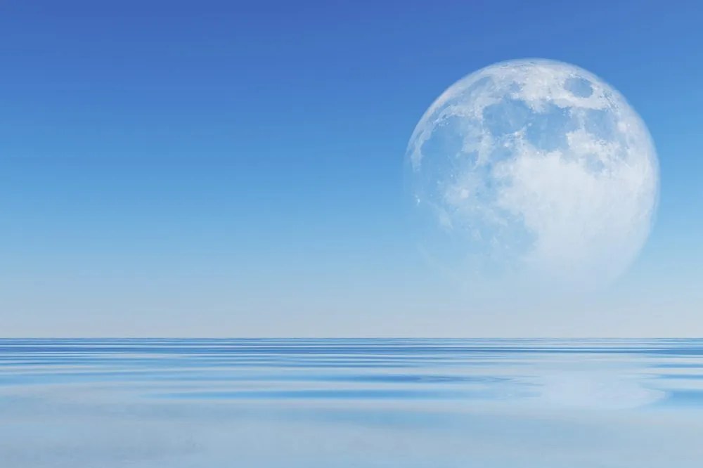 Carta da parati autoadesiva – Luna sul mare