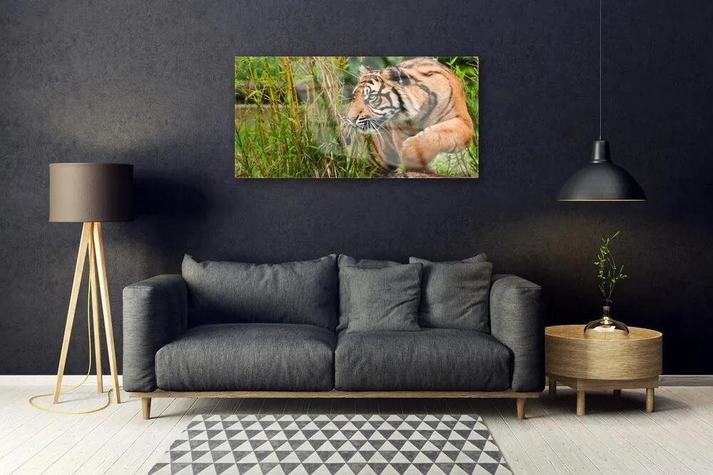 Quadro in vetro acrilico Animali tigre 100x50 cm