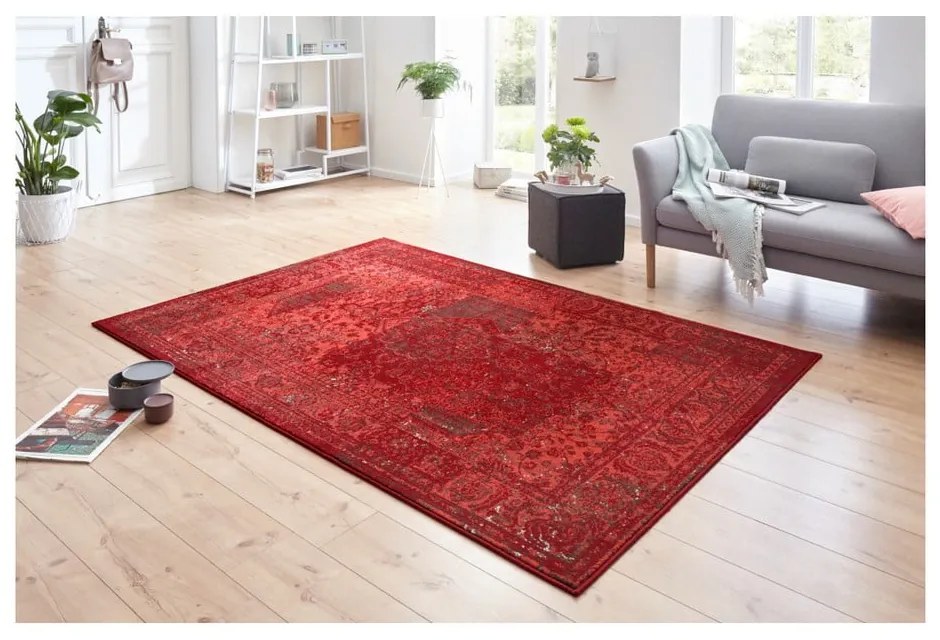 Tappeto rosso Celebrazione , 200 x 290 cm Plume - Hanse Home