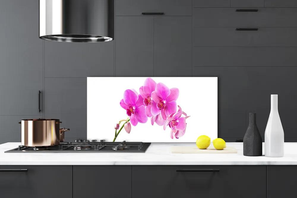 Rivestimento parete cucina Orchidea Fiore di orchidea 100x50 cm