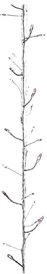 Catena natalizia LED per interni NANO 100xLED/3xAA 2,9m rosa