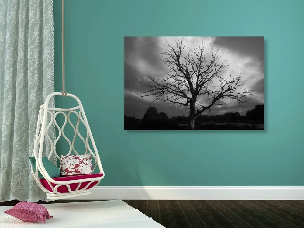 Quadro su tela – Albero sul prato in bianco e nero