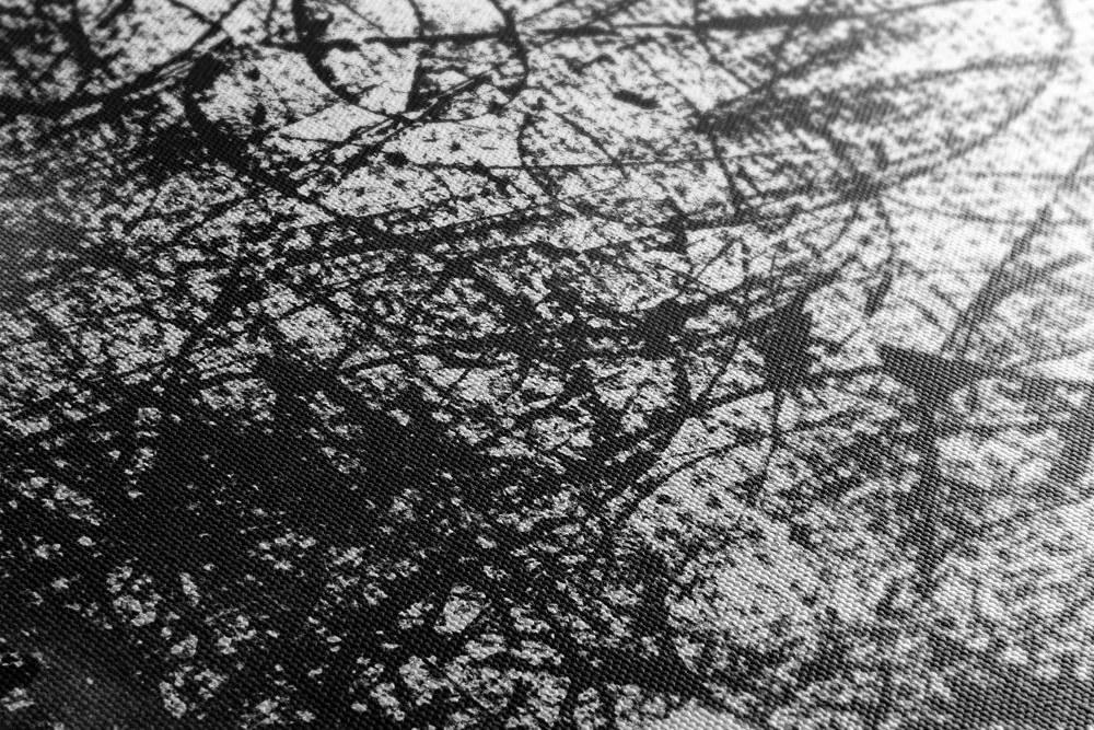 Stampa su tela – Donna con elementi astratti