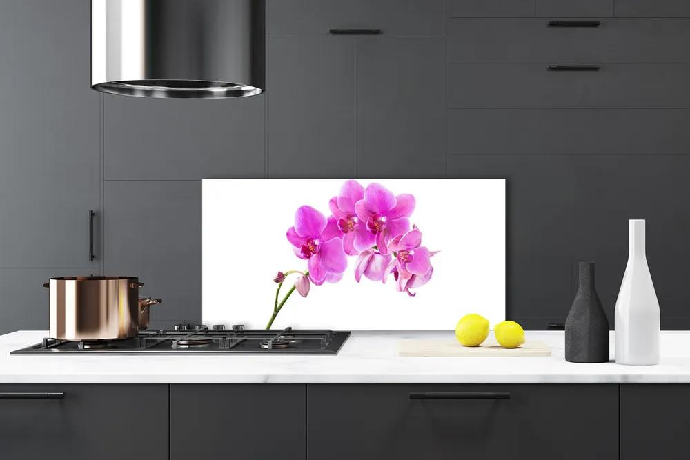 Pannello rivestimento parete cucina Orchidea Fiore di orchidea 100x50 cm