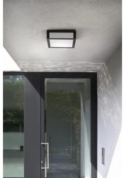 Philips - Plafoniera da esterno SKIES 2xE27/14W/230V IP44 antracite