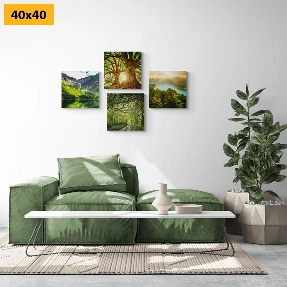 Set di quadri – Splendida natura verde