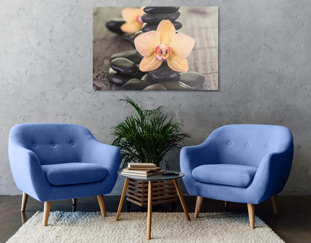 Quadro su tela – Orchidea gialla e pietre Zen