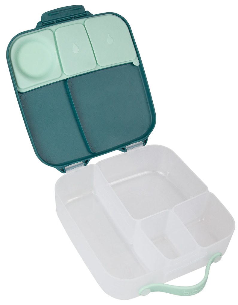 Box porta merenda grande – emerald forest