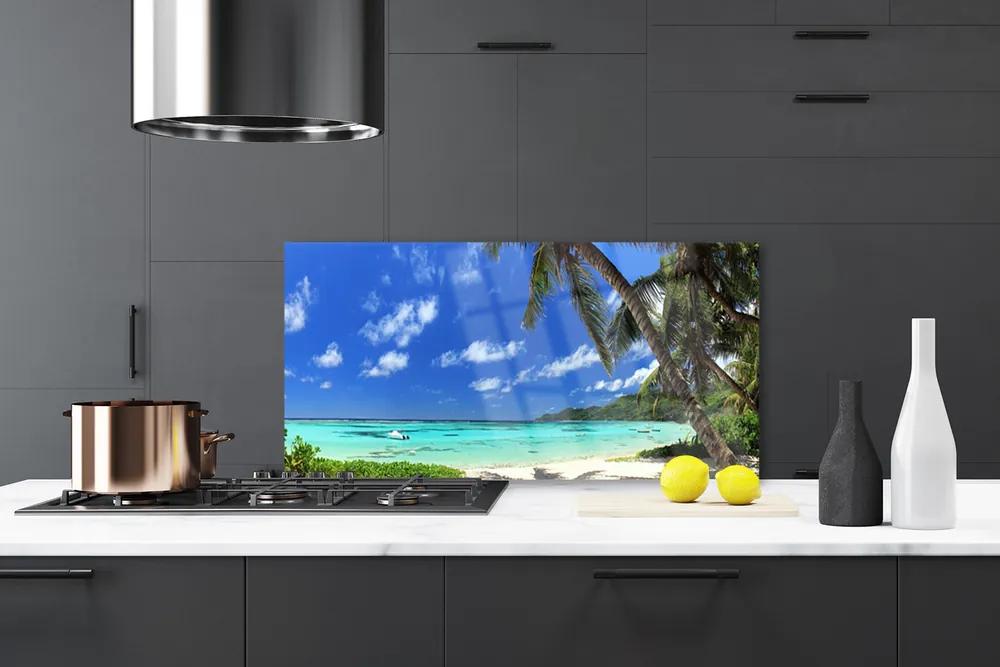 Rivestimento parete cucina Paesaggio del mare della palma 100x50 cm