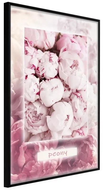 Poster  Scent of Peonies  Cornice Quadri Cornice nera, Larghezza x Altezza Home decor 30x45