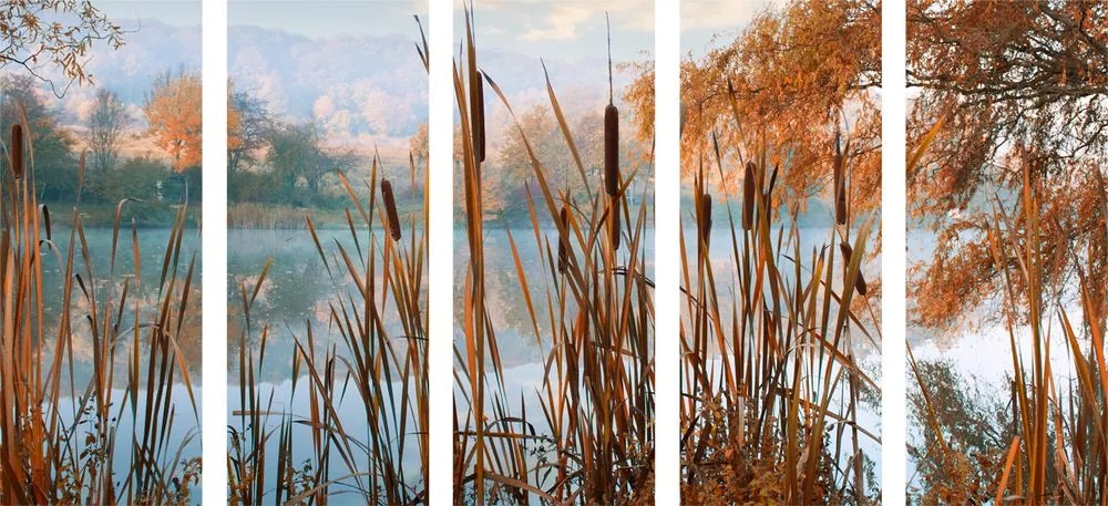 Quadri 5 pezzi – Fiume nella natura autunnale