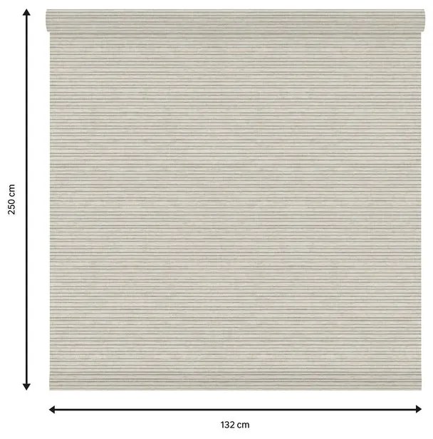 Tessuto per tende a rullo filtrante INSPIRE Darwin beige 132 x 250 cm