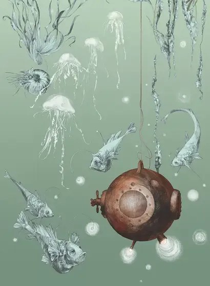 Edmond Petit Carta da parati Nautilus/ Méduses/ Nénuphars - Nautilus droit - Aqua