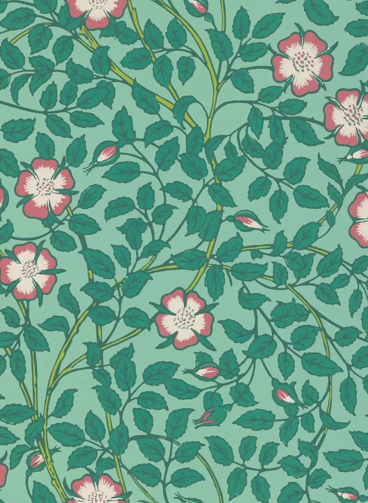 Little Greene Carta da parati Briar Rose - Green Verditer