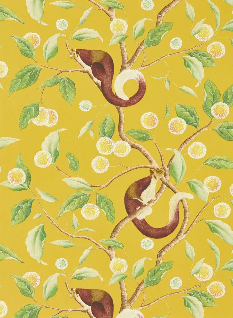 Harlequin Carta da parati Nellie - Honey/ Meadow