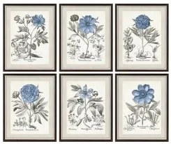 Quadro DKD Home Decor Fiori Moderno 50 x 2 x 65 cm (6 Pezzi)