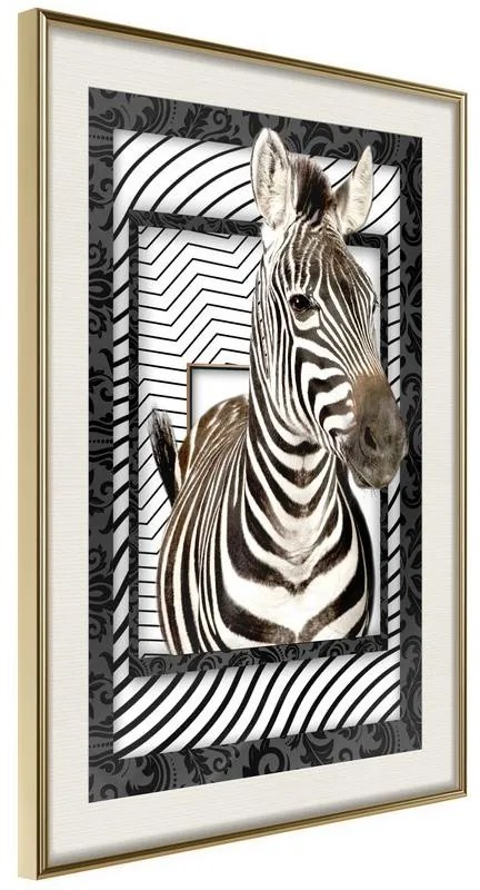 Poster  Zebra in the Frame  Cornice Quadri Cornice d'oro con passe-partout, Larghezza x Altezza Home decor 20x30