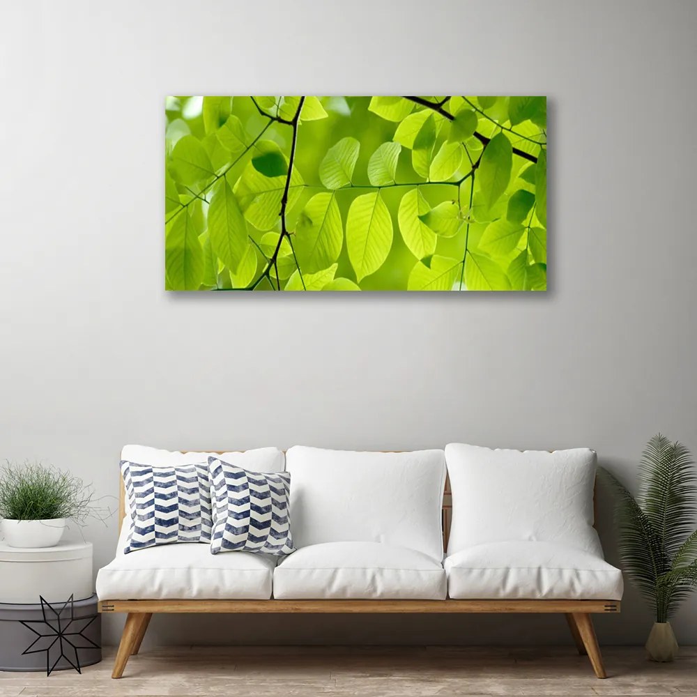 Quadro su tela Foglie di piante naturali 100x50 cm