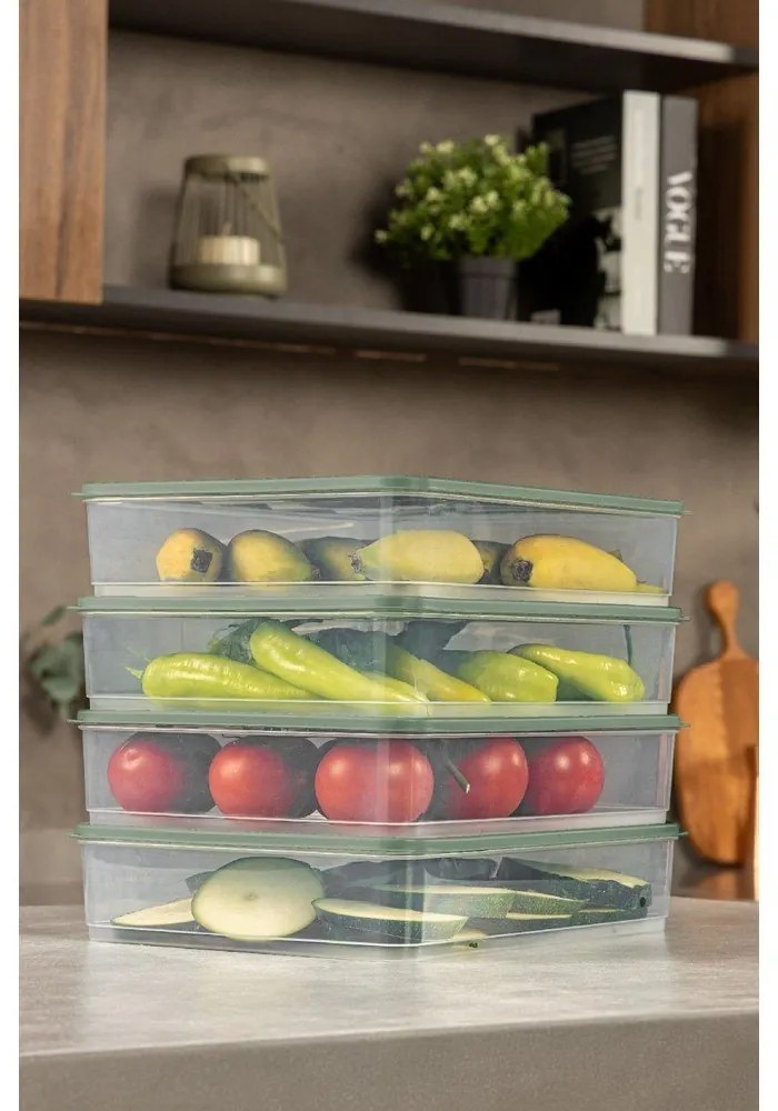 Scatole per alimenti in set 4 pz – Hermia