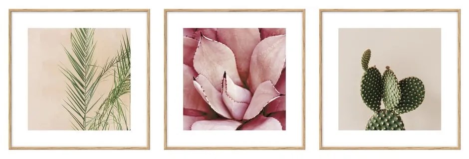 Dipinti in set di 3 pezzi 22,5x22,5 cm Flowers - knor