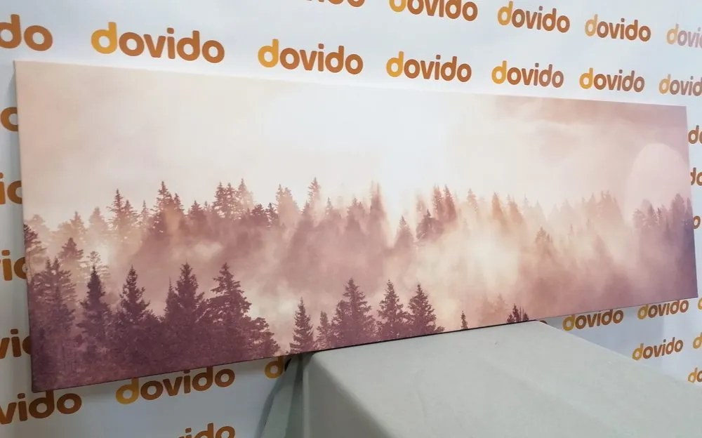 Stampa su tela – Nebbia sopra la foresta