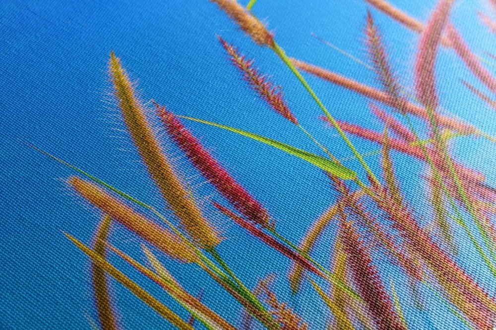 Quadro su tela – Erba selvaggia sotto il cielo blu