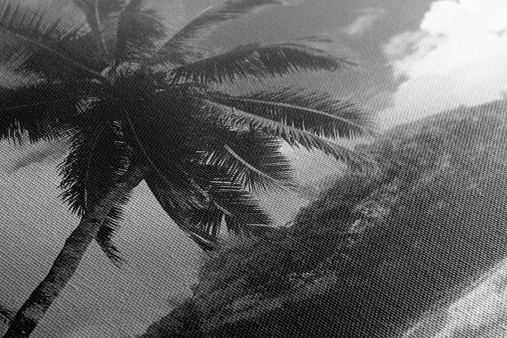 Quadro su tela – Spiaggia stupenda sull'isola delle Seychelles in bianco e nero
